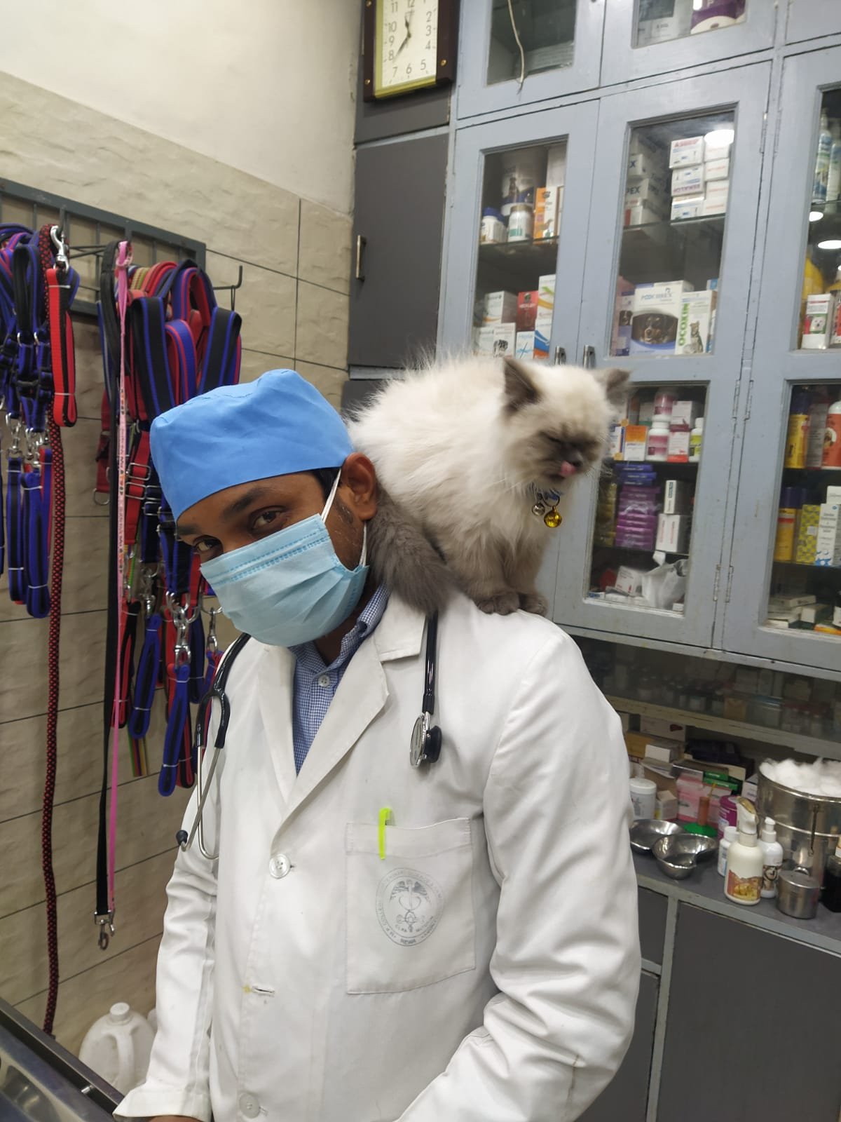 Pet Well Vet clinic and team in Noida